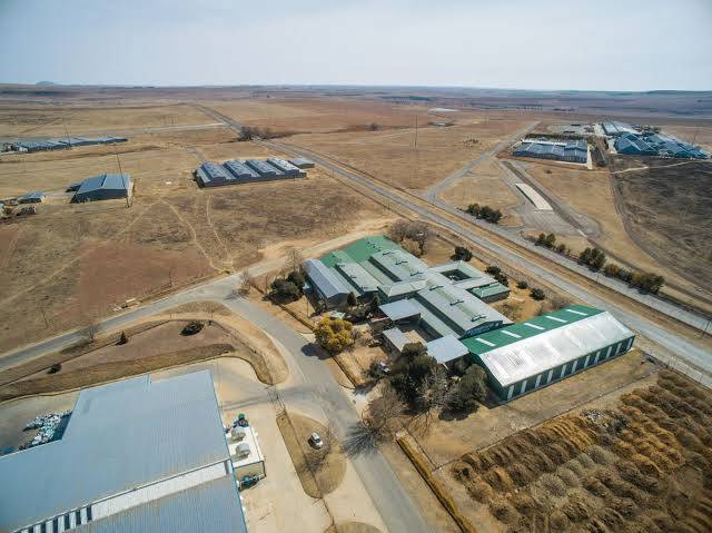 QwaQwa Secures R5,5-Billion Electric Vehicle Plant in Landmark China-Backed Industrial Deal